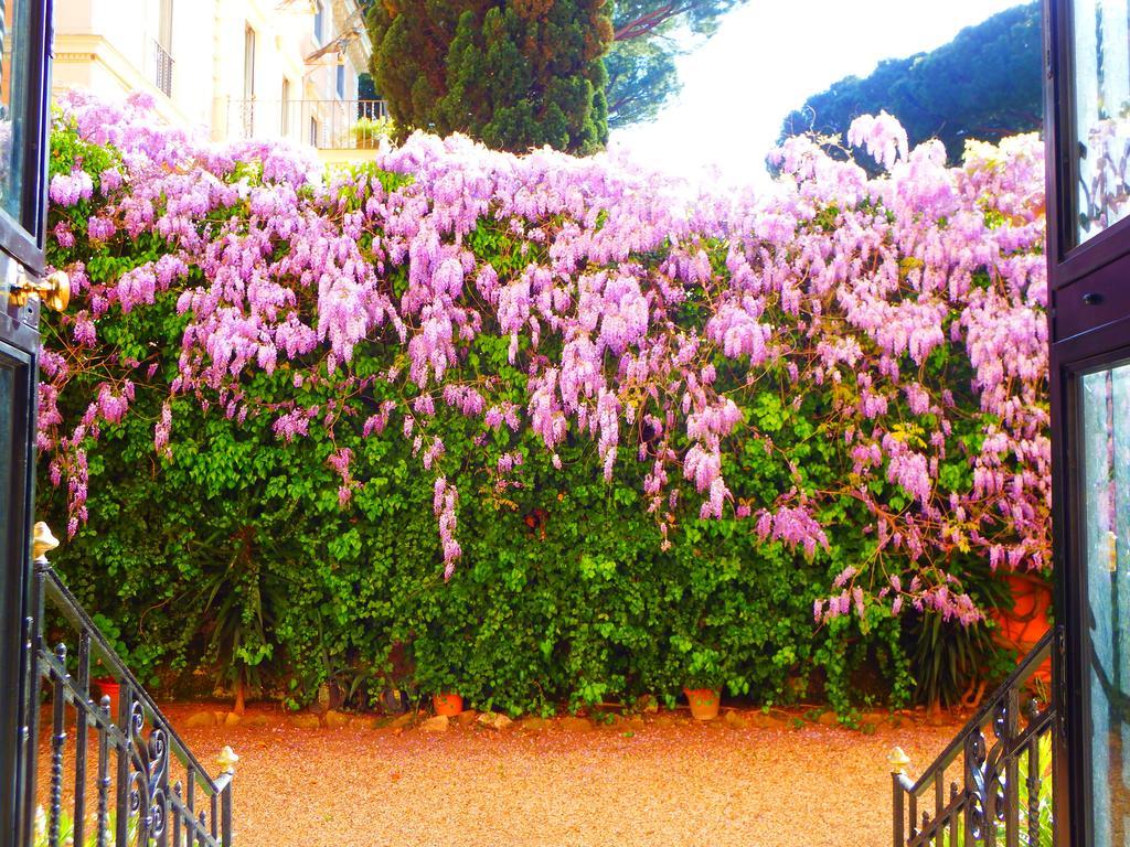 Gasthuis Domus Monami Luxury Rome